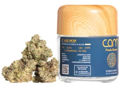 Premium Hybrid Flower STIIIZY Europe