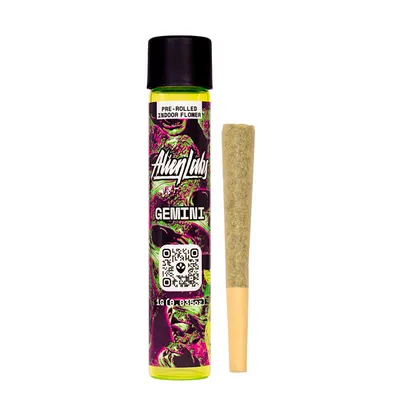 Order STIIIZY Pre-Rolls Europe